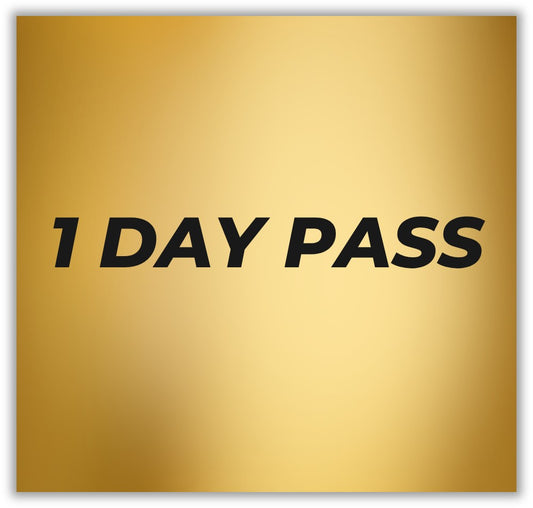 1 DAY PASS