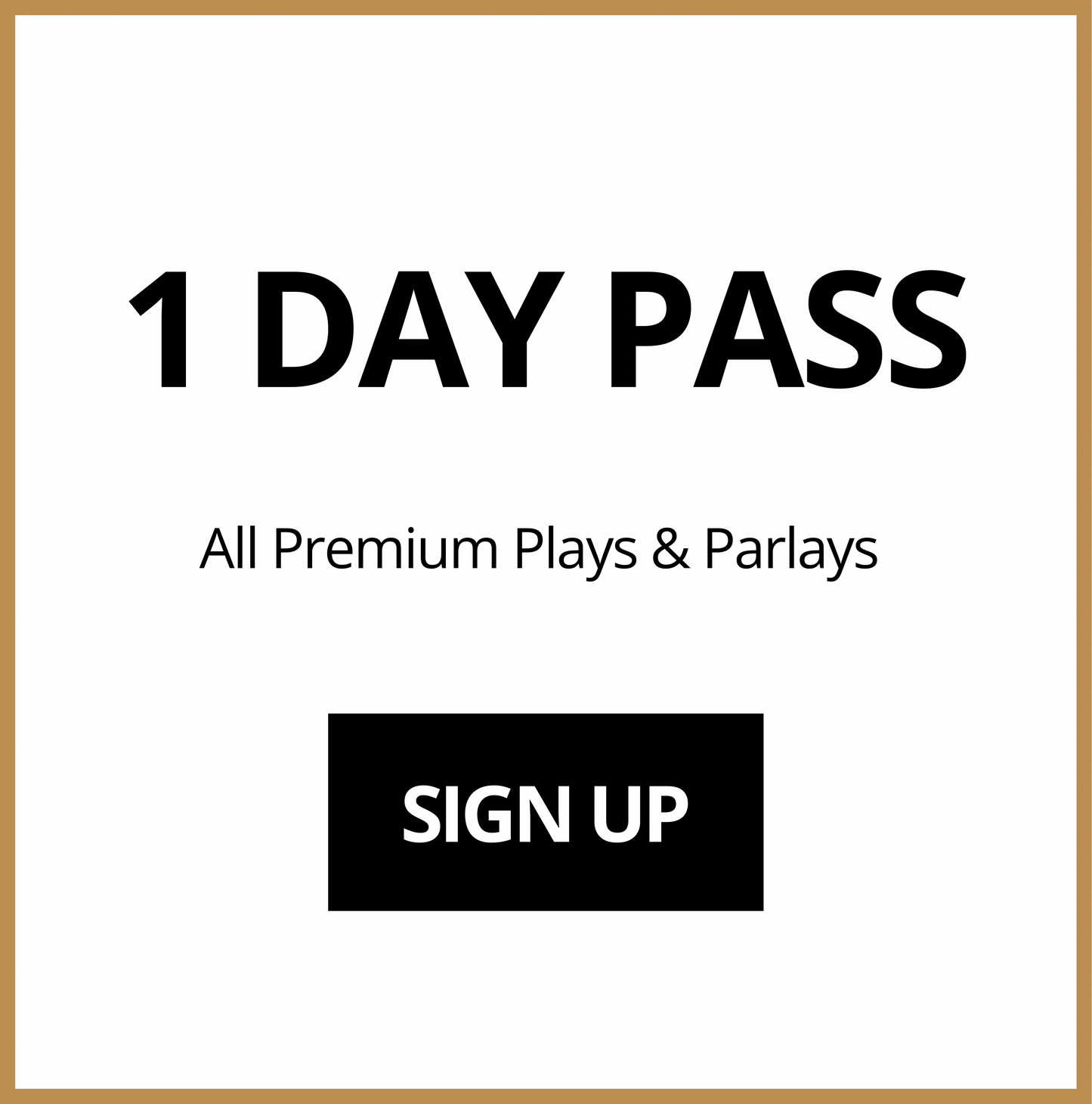 1 DAY PASS