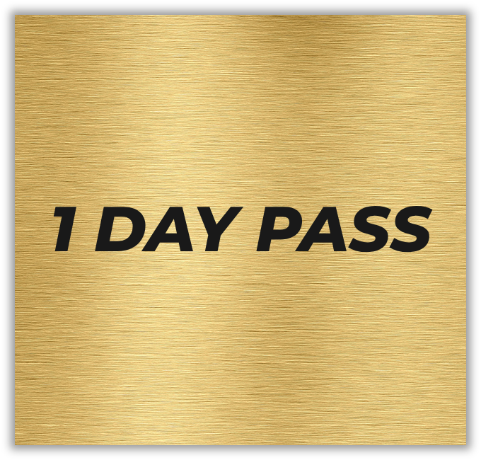 1 DAY PASS