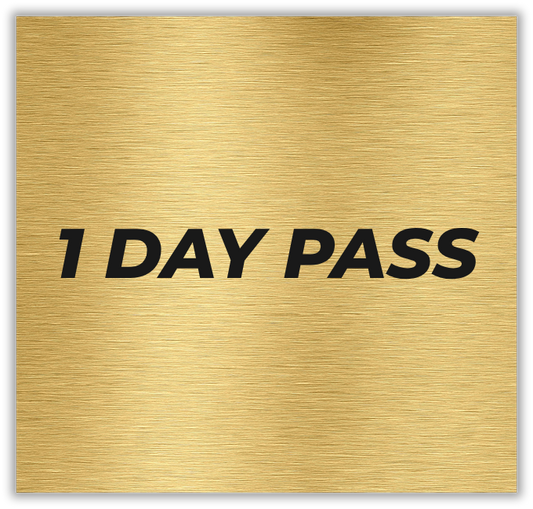 1 DAY PASS